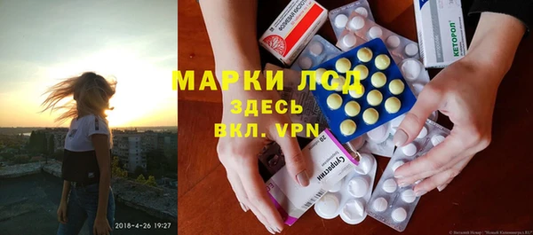 гидра Михайловск