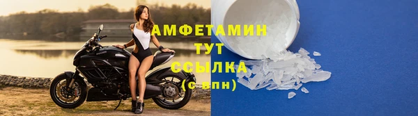 гидра Михайловск