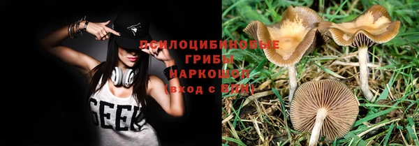 дурь Михайловка